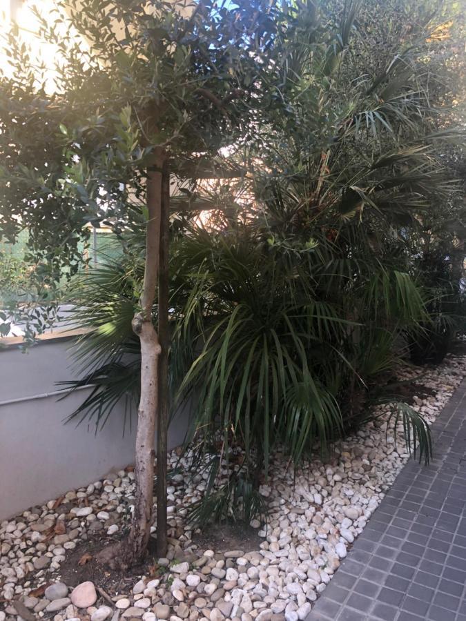 A Casa Minerva Apartamento Rimini Exterior foto