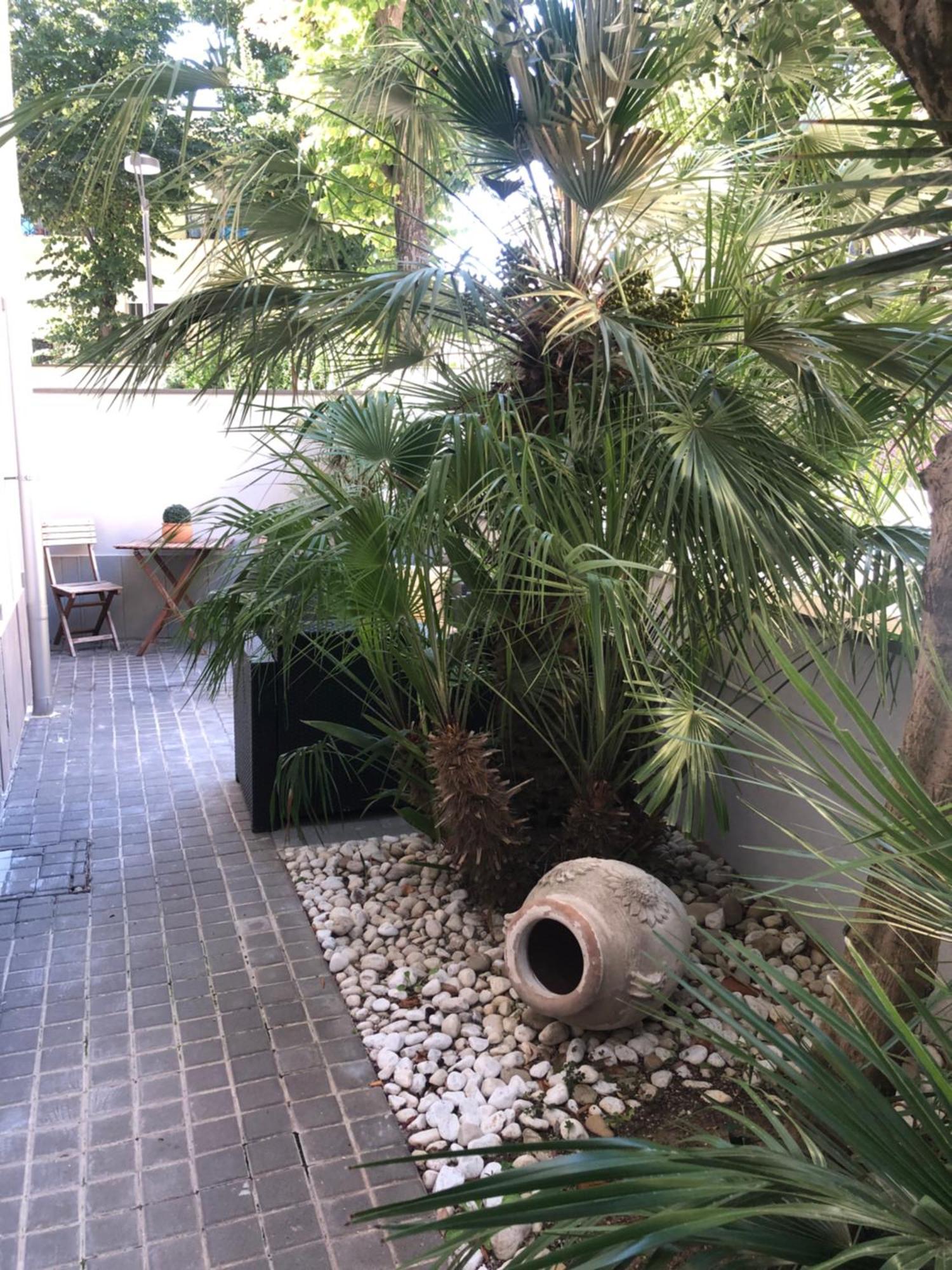 A Casa Minerva Apartamento Rimini Exterior foto
